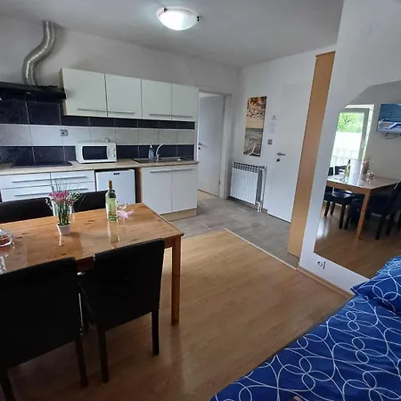 Apartmaji Slatenik *