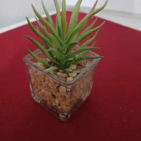 Apartmaji Slatenik *