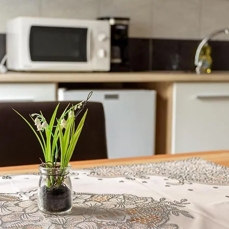 Apartmaji Slatenik *