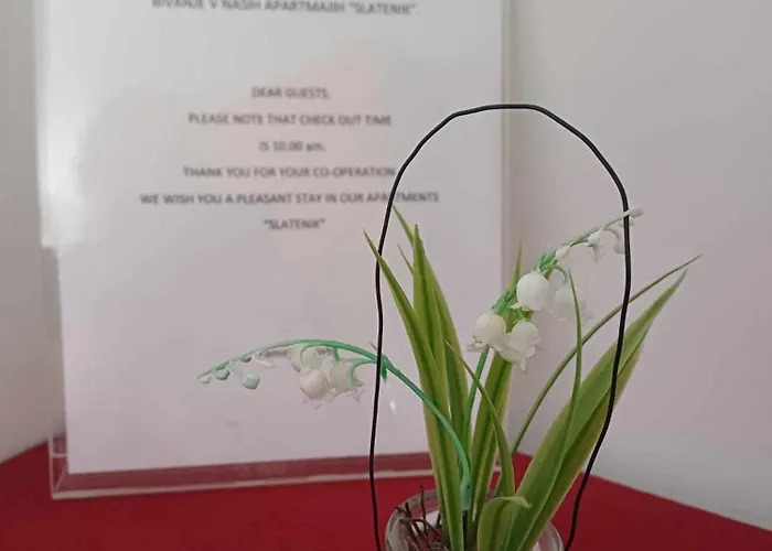 Apartmaji Slatenik