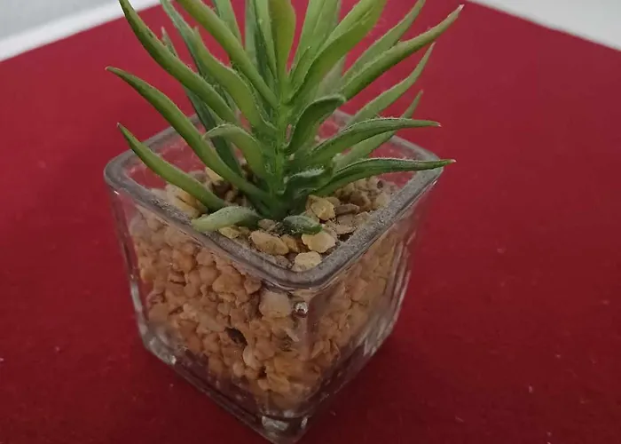 Apartmaji Slatenik *