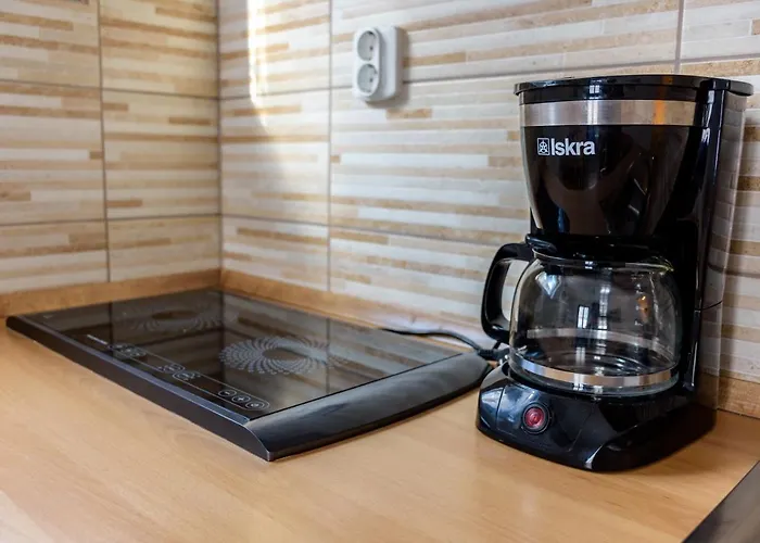 Apartmaji Slatenik * בובק