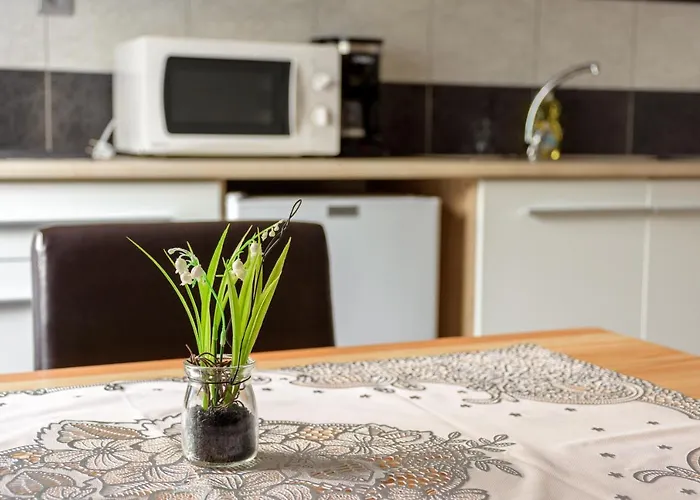 Apartmaji Slatenik *